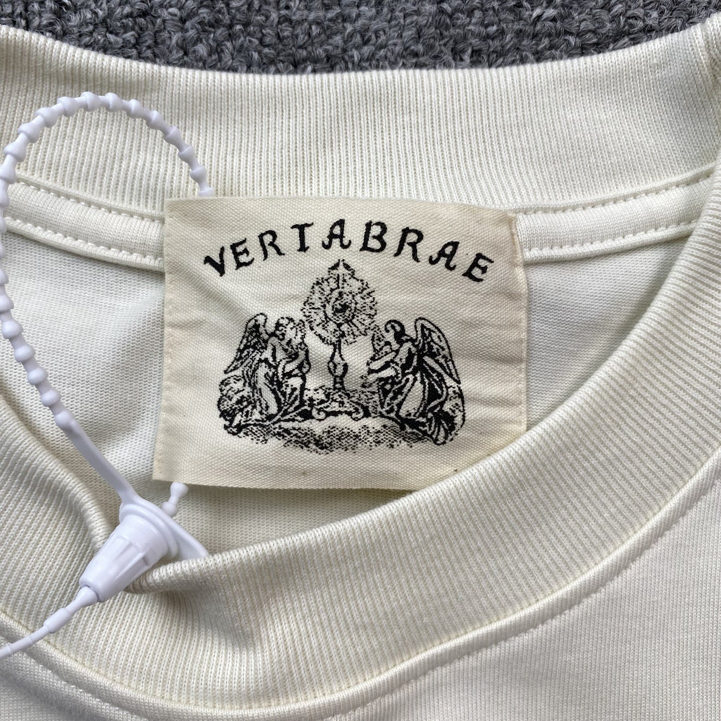 Vertabrae