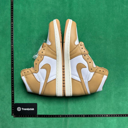 Air Jordan 1
