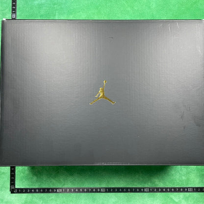 Air Jordan 11 Retro