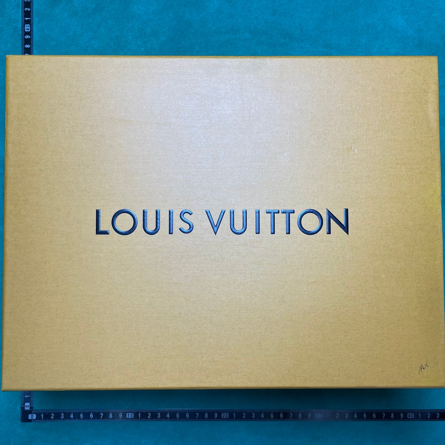 Louis Vuitton -Butter-soft Sneakers