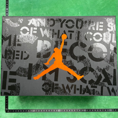 Air Jordan 3 retro