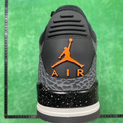 Air Jordan 3 retro