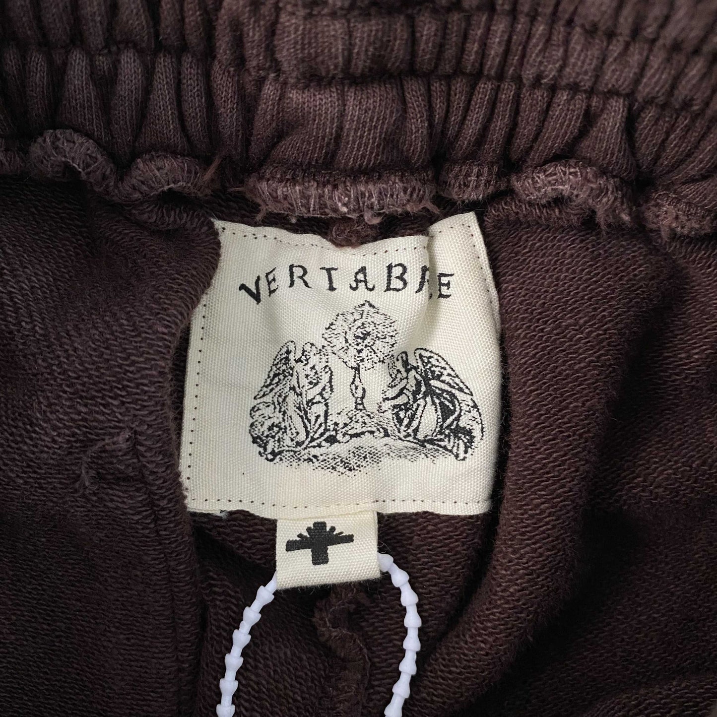 Vertabrae