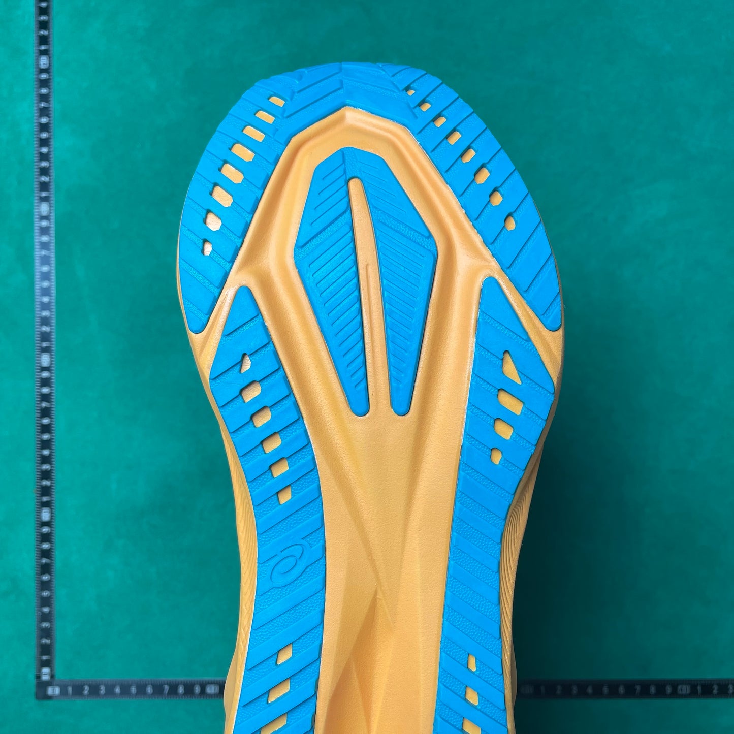 Asics -Novablast 5 LE