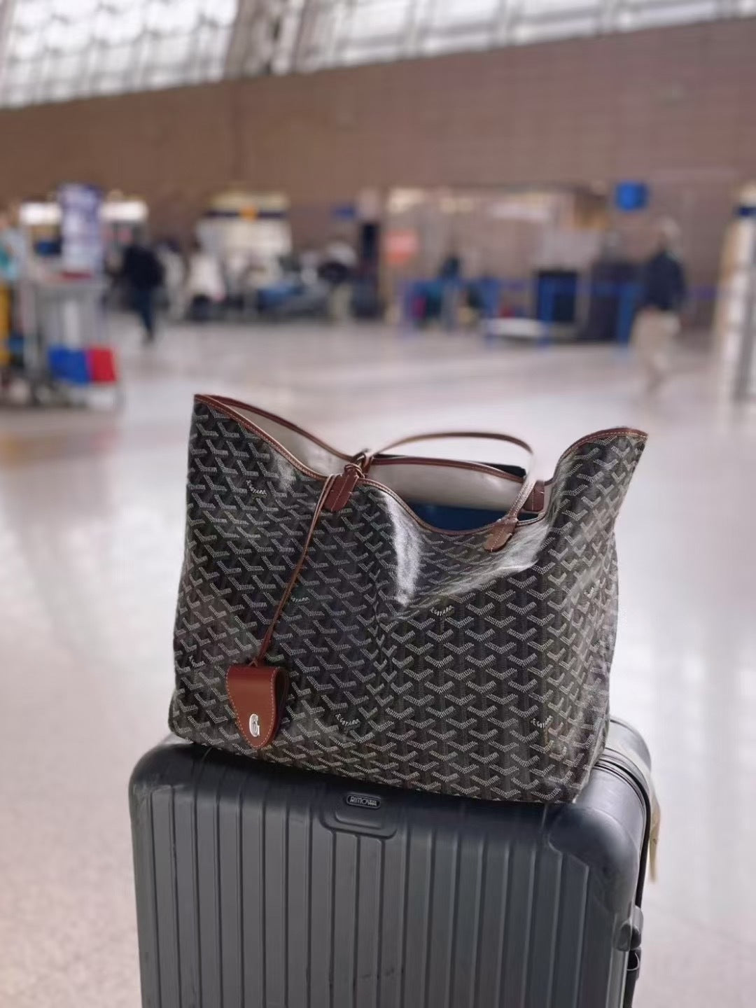 Goyard
