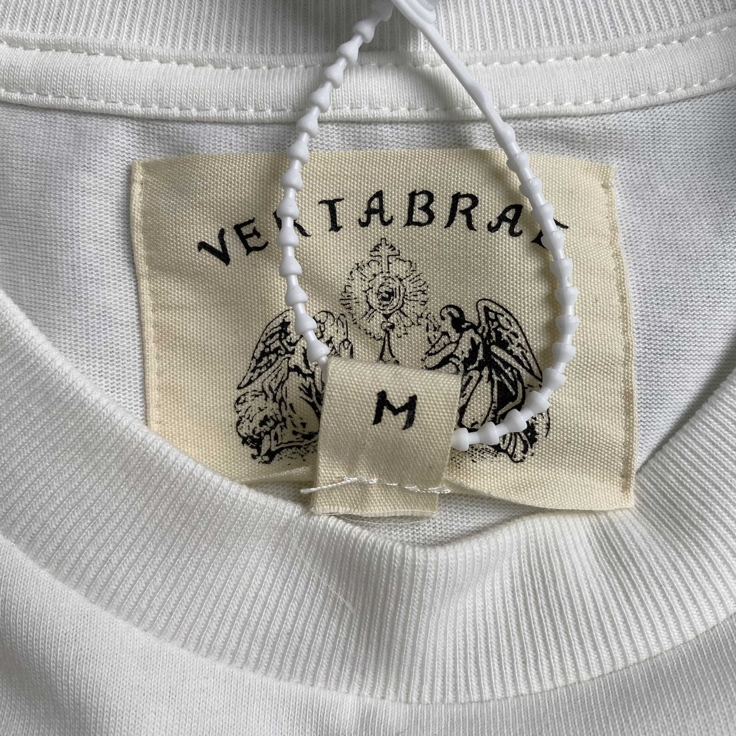 Vertabrae