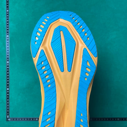 Asics -Novablast 5 LE