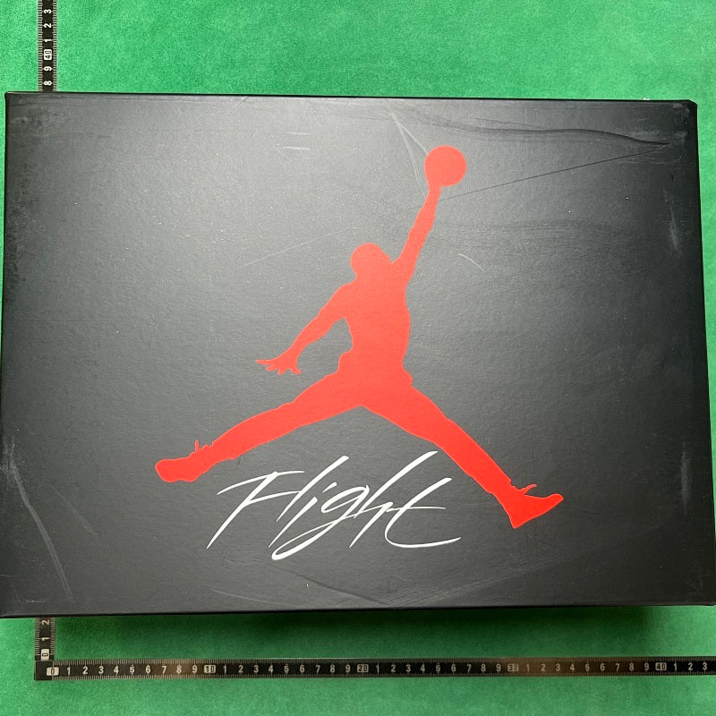 Air Jordan 4 Retro NCAA P