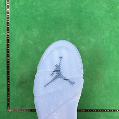 Air Jordan 5 Retro