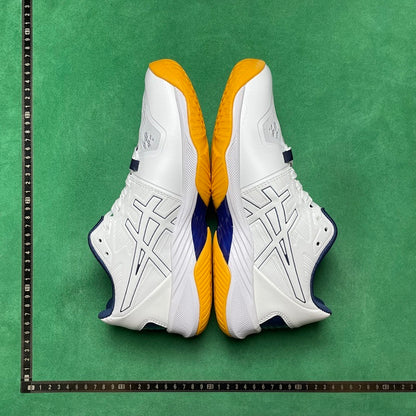 Asics  Sky ELITE FF 2 Tokyo