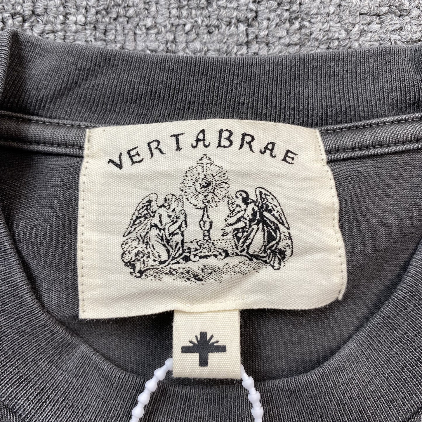 Vertabrae