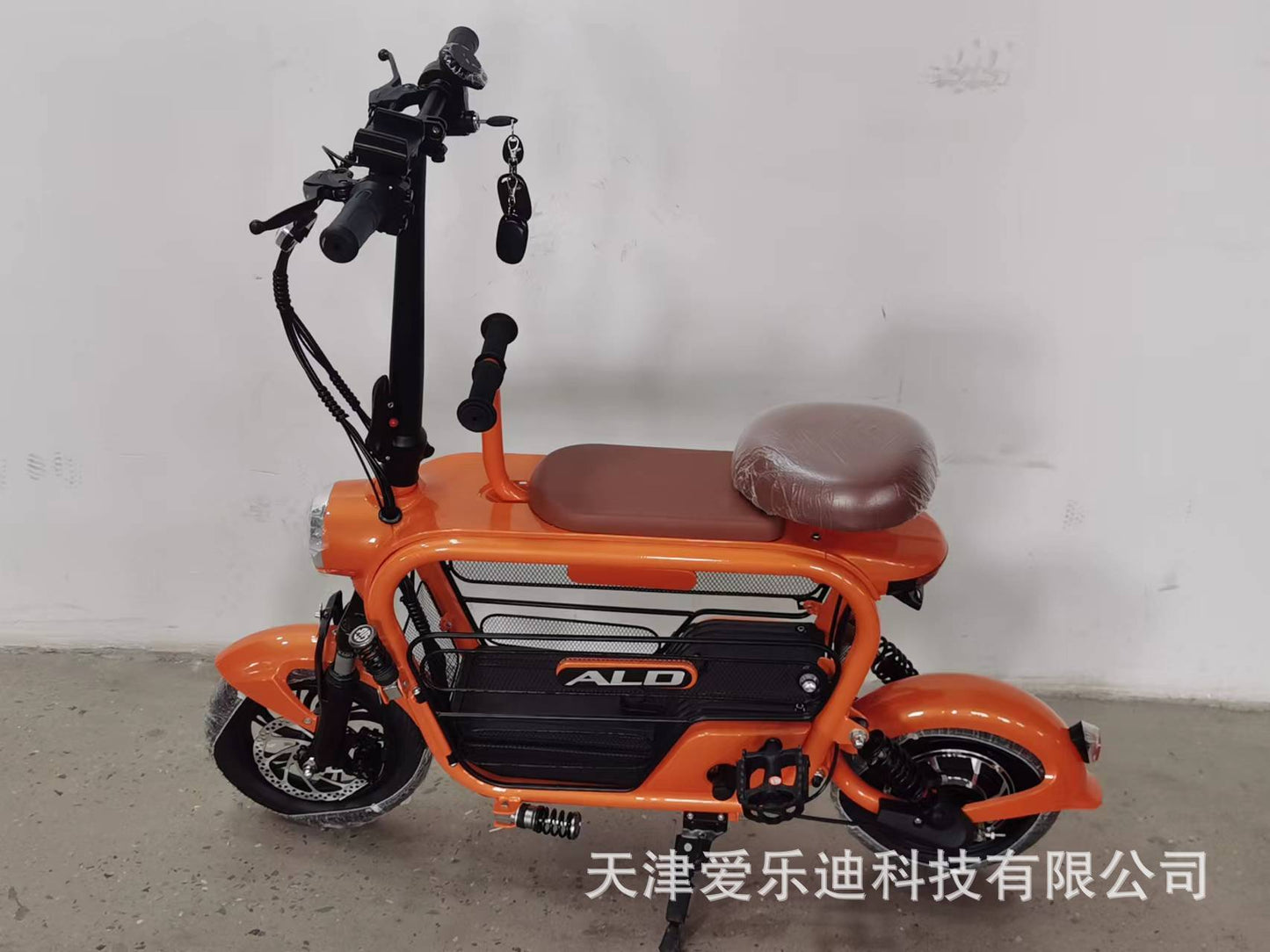 Vietnam Two-Wheeled Pet Lithium Battery Car Family Fashion Assist Foldableing Small Scooter 48V Electric Car