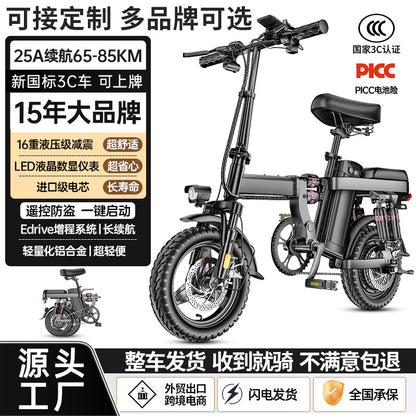 Source Factory New National Standard Folding Electric Bicycle Long-Range Electric Vehicle Driving Lithium Battery Moped