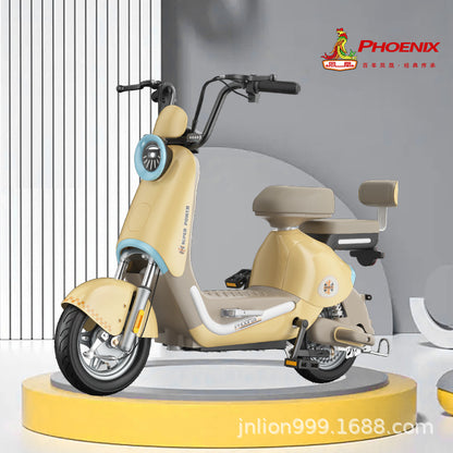 Phoenix New National Standard Electric Vehicle Blue Excellent Electric Bicycle Can Be Registered Offline Physical Same Model Electric Bicycle