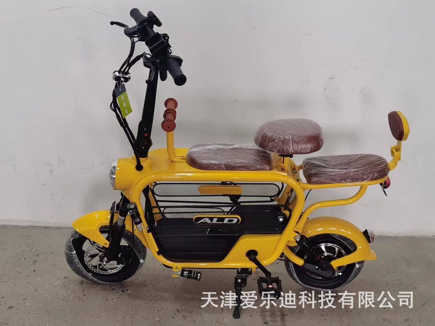 Vietnam Two-Wheeled Pet Lithium Battery Car Family Fashion Assist Foldableing Small Scooter 48V Electric Car
