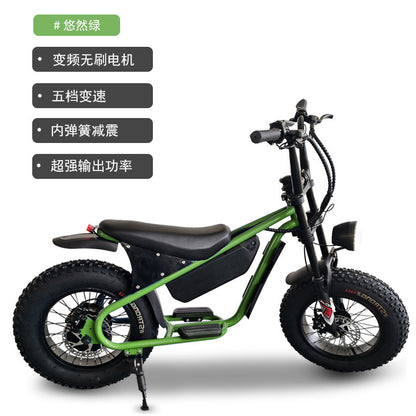 16inch Retro Wide Tire Electric Bicycle for Commuting to Work, Adult Foldableable Electric Bicycle, Off-Road Fat Tire Electric Bicycle