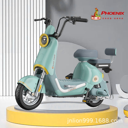 Phoenix New National Standard Electric Vehicle Blue Excellent Electric Bicycle Can Be Registered Offline Physical Same Model Electric Bicycle