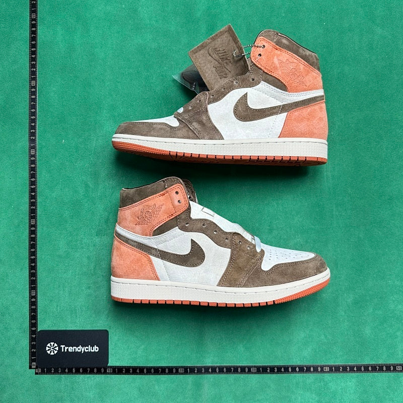 Air Jordan 1