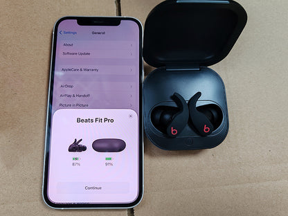 Beats Fit Pro earbuds