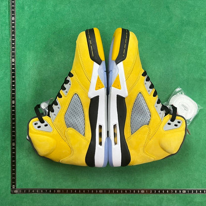 Air Jordan 5 Retro
