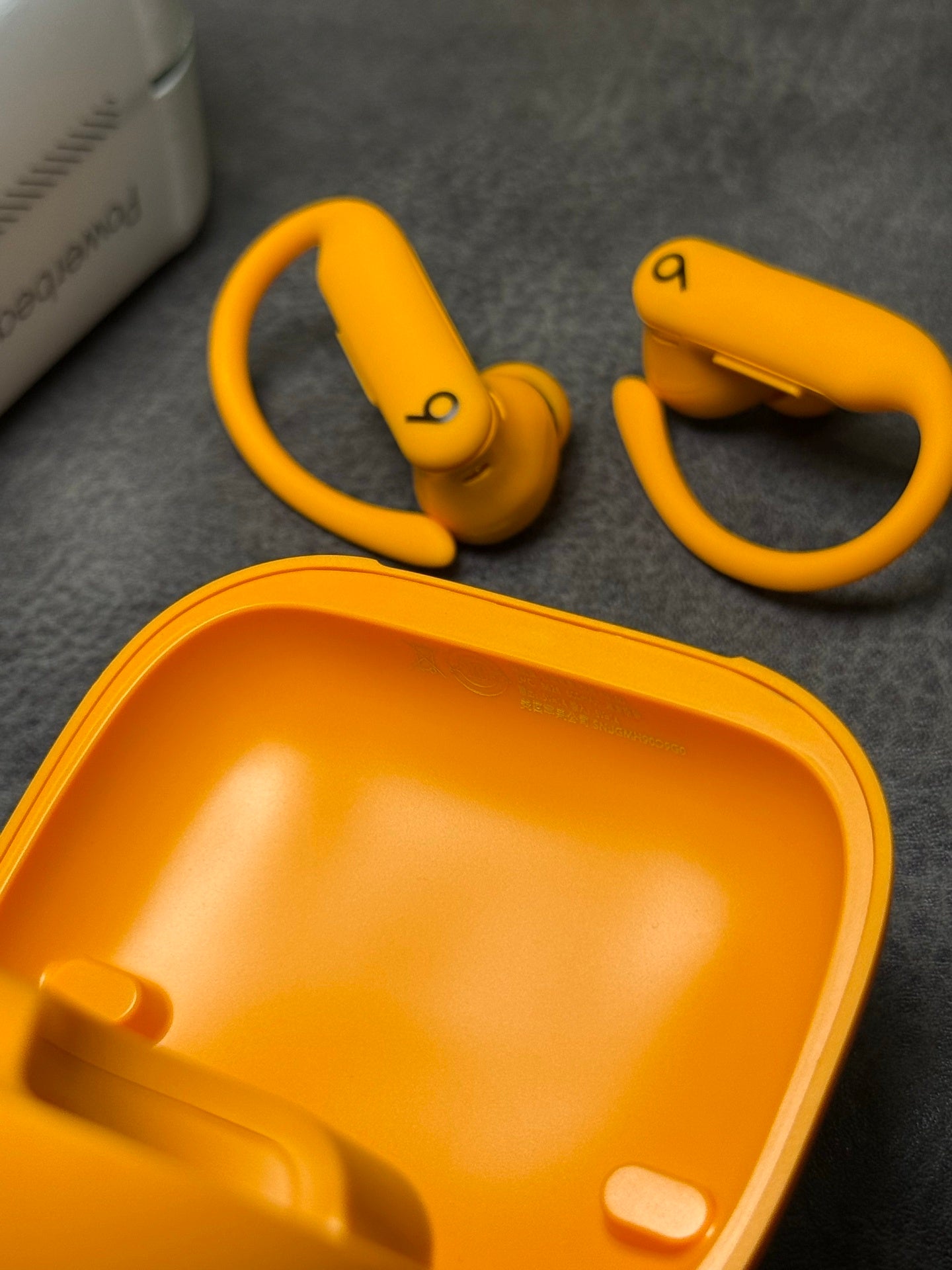 Beats Powerbeats pro 2 earbuds