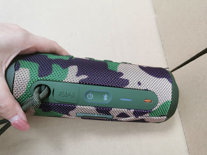 JBL Flip 6