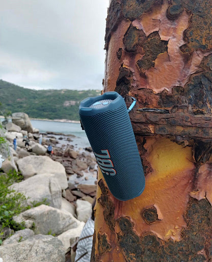 JBL Flip 7