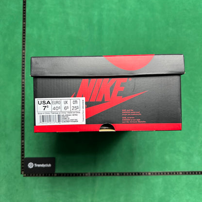 Air Jordan 1