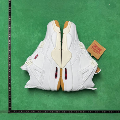 Air Jordan 4 Retro NRG