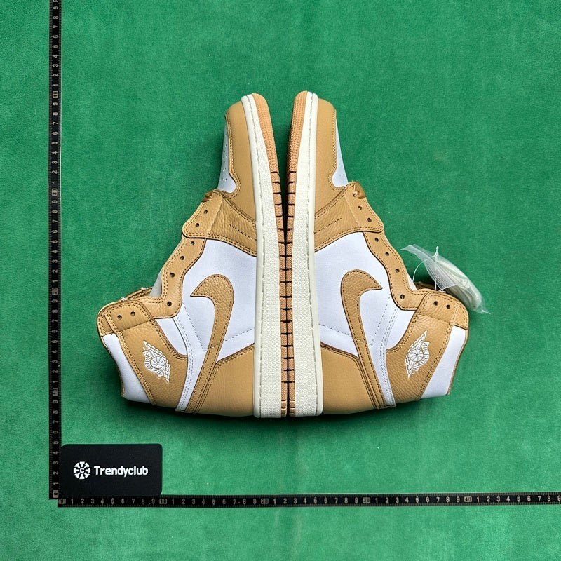 Air Jordan 1