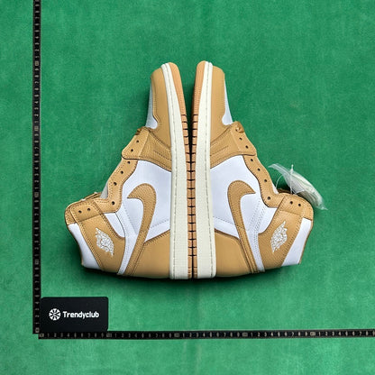 Air Jordan 1