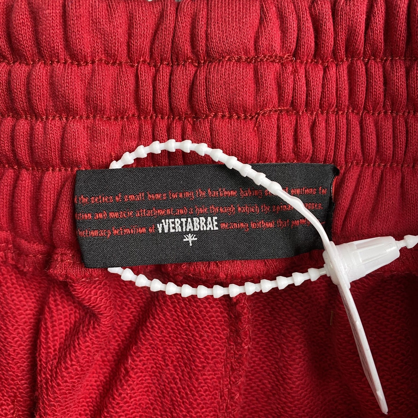 Vertabrae