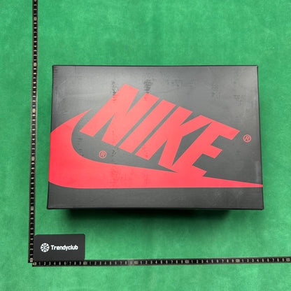 Air Jordan 1