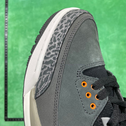 Air Jordan 3 retro