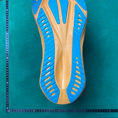 Asics -Novablast 5 LE