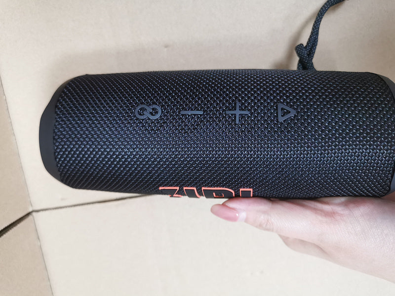 JBL Flip 6