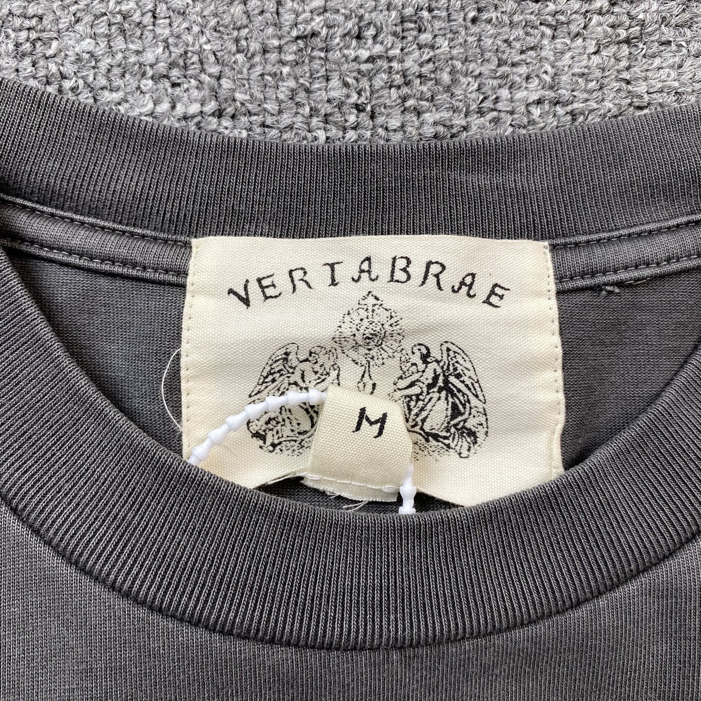 Vertabrae