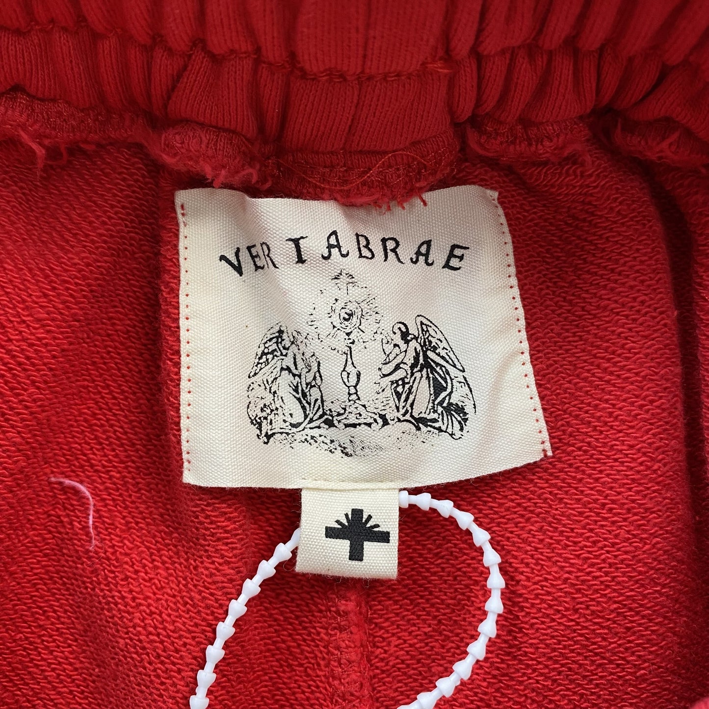 Vertabrae