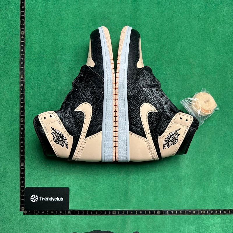 Air Jordan 1