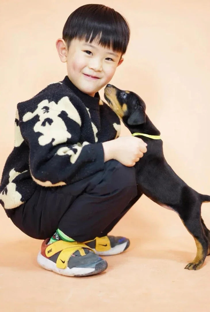 出口版小飞碟魔术贴儿童运动鞋新款童鞋a 64 收藏